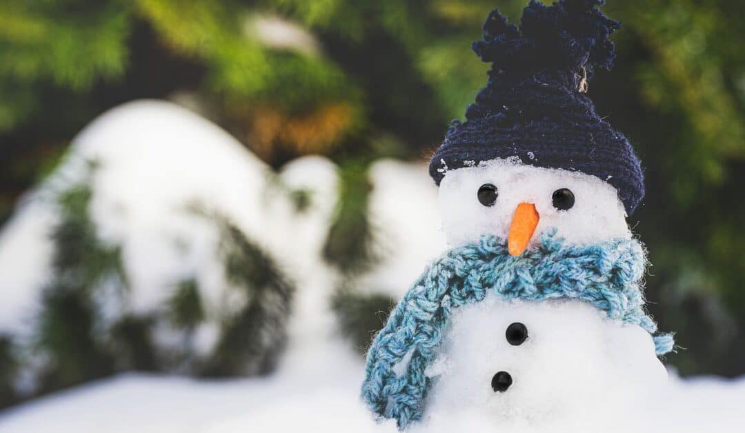 Protect Yourself from Frostbite During Winter in Whatcom County