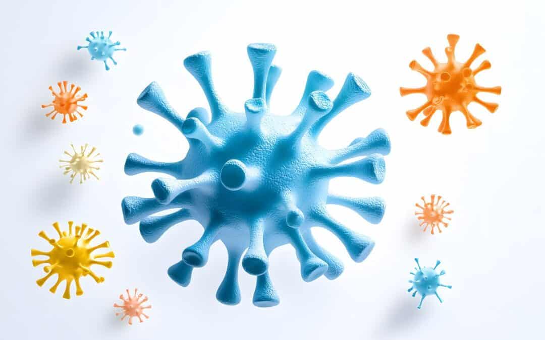 High Alert: What to Know About This Year’s Flu (The “Subclade K” Strain)